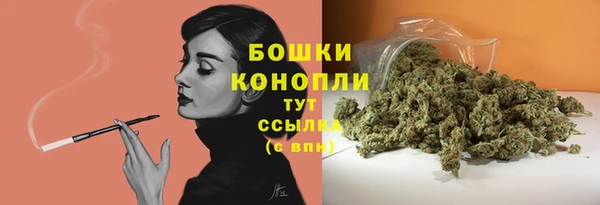 дмт Верея