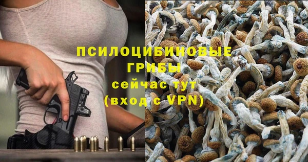 соль курить ск Верхний Тагил
