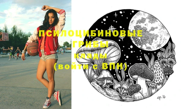 соль курить ск Верхний Тагил