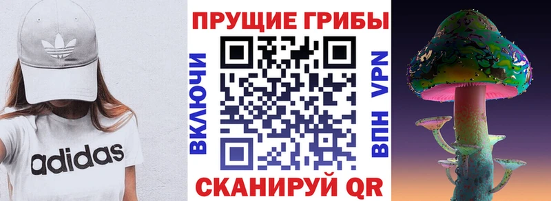 Купить закладки  Воркута  Псилоцибиновые грибы Psilocybine cubensis 